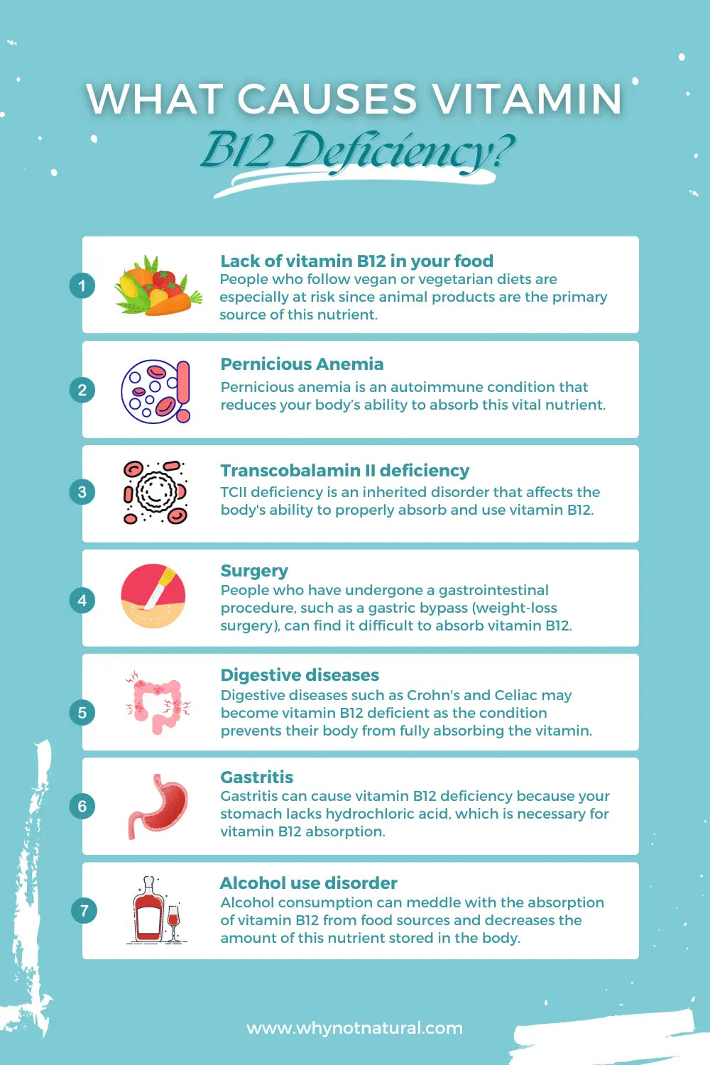 What causes vitamin  B12 Deficiency