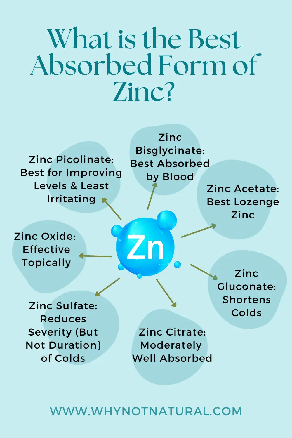 What is the Best Absorbed Form of Zinc?