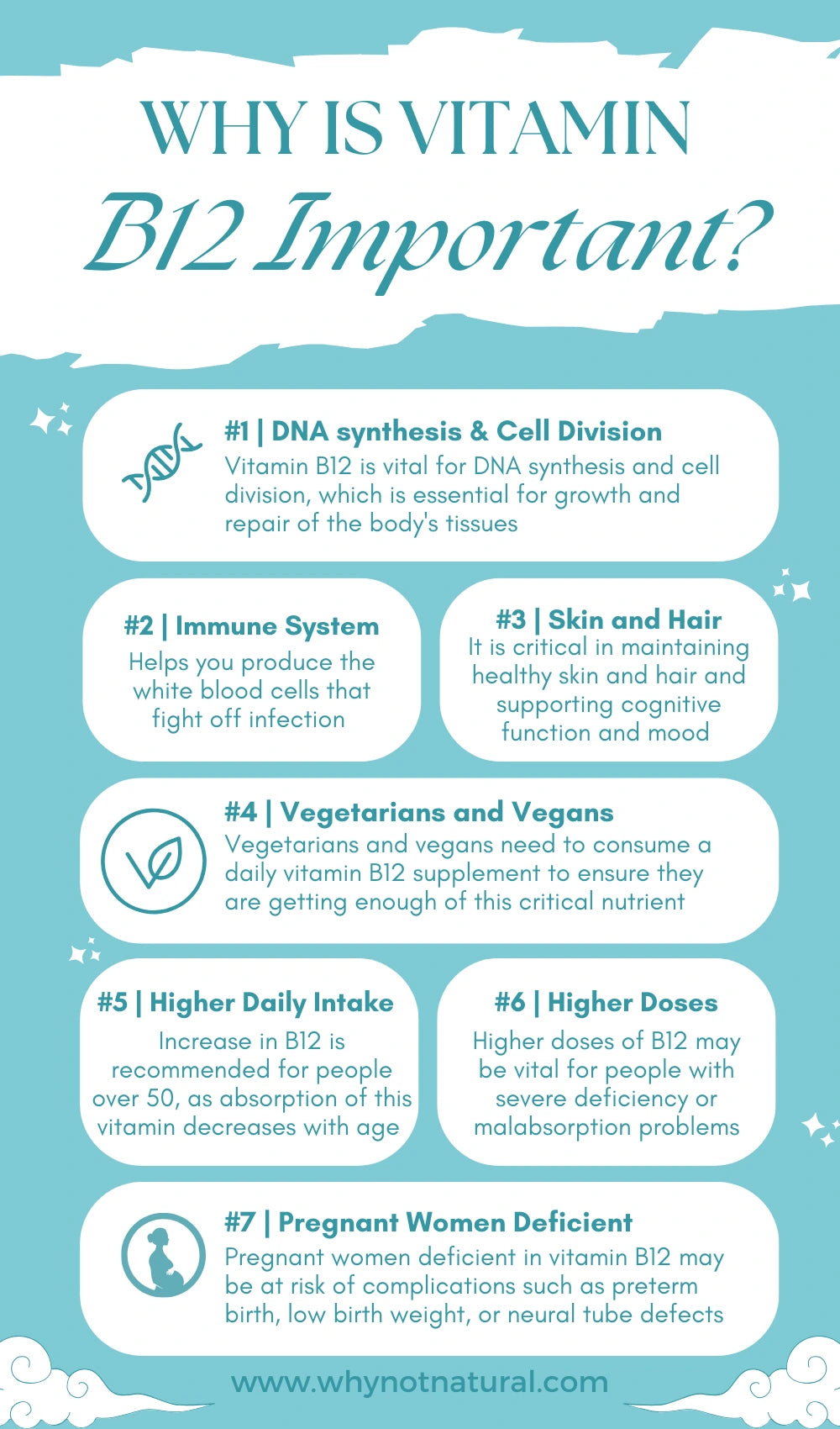 Why is Vitamin  B12 Important