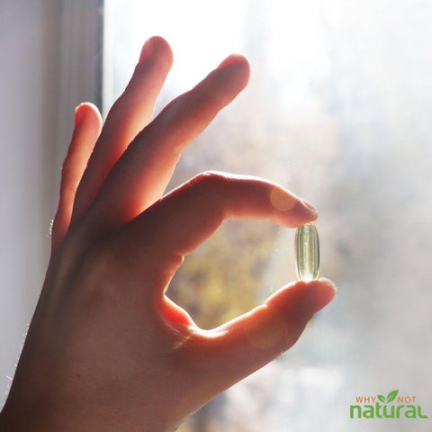 A person's hand holding an vitamin capsule in front of a window.