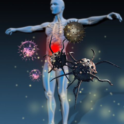 Illustration of the human body accompanied by viruses to demonstrate the importance of immune health.