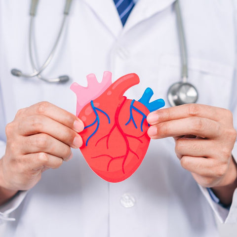 The doctor is holding a cut-out paper heart.