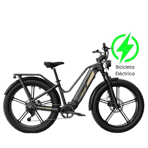Fiido Titan Cargo Bicicleta Eléctrica 140km Bateria 700WH