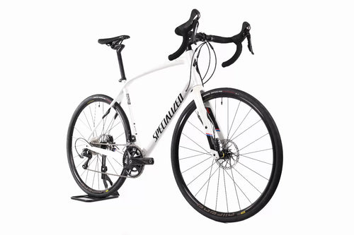 Specialized Diverge Expert