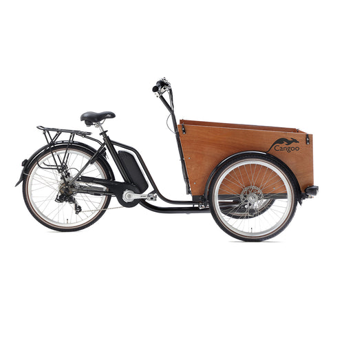 Vélo Cargo Electrique Cangoo Easy-E