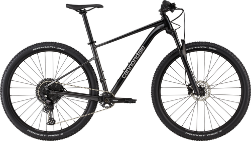 Cannondale TRAIL SL 3 2023 L