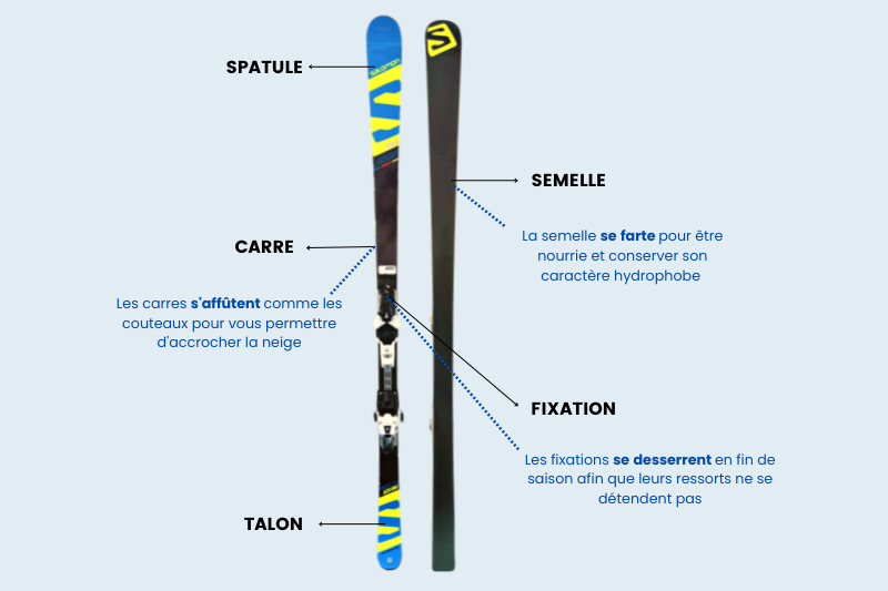 Anatomie ski alpin