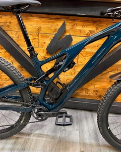 Specialized Stumpjumper evo M