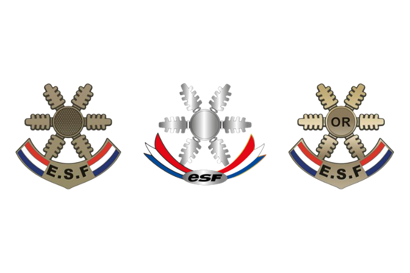 Médailles et tests de ski ESF : décryptage - France Montagnes - Site  Officiel des Stations de Ski en France