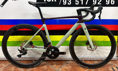 Focus Izalco max 8.8 2024 S