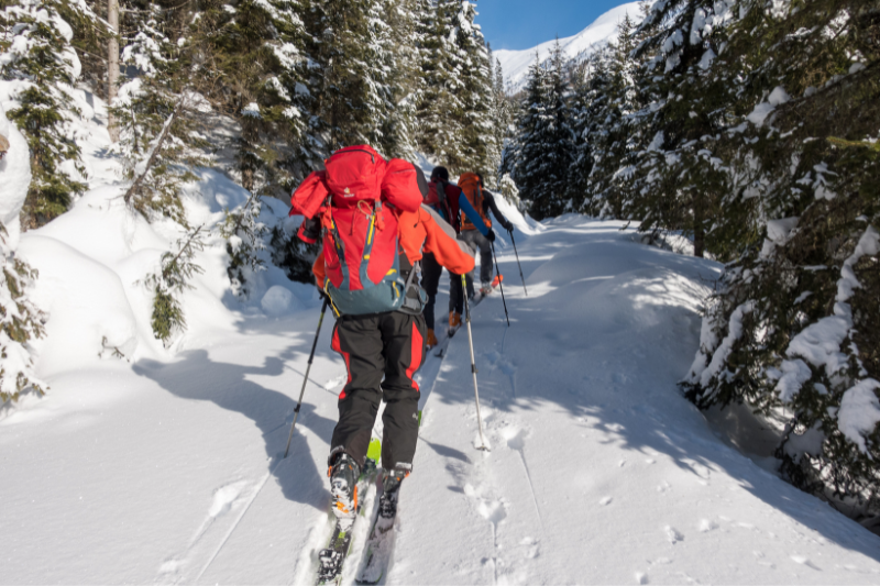 La hauteur du bâton de ski de fond est plus importante que pour le ski de piste