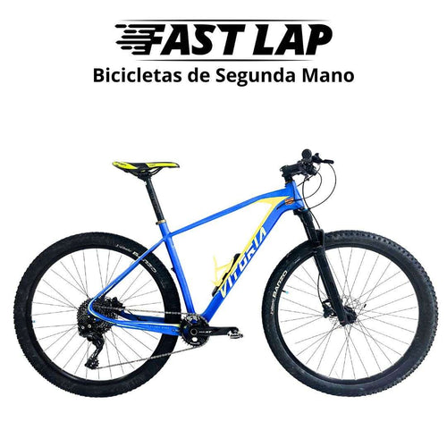 Vitoria SIOUX SL 29 2020 Talla ML Shimano XT Carbono Bicicleta Montaña