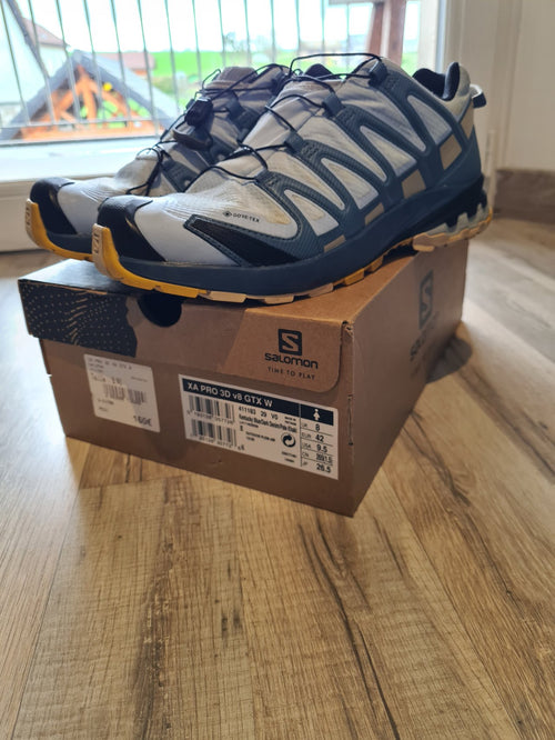 Chaussures de trail running Salomon XA PRO 3D v8 GTX Bleu