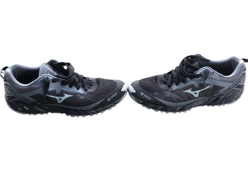 Chaussures de running Mizuno wave ibuki 2 gtx