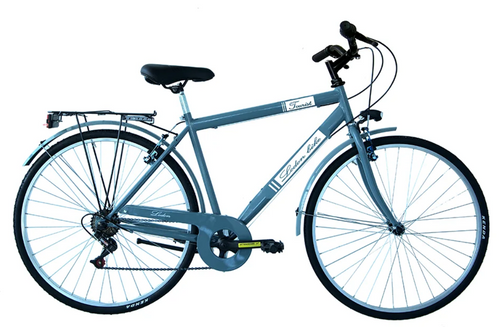 Bici city bike da donna in acciaio Mascighi 6v SM1U28106CV