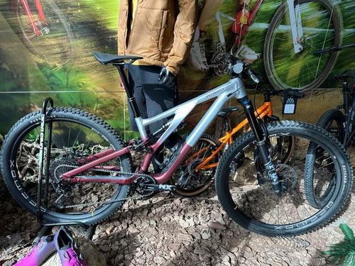 Specialized Stumpjumper Evo M