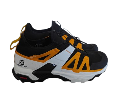 Chaussures Salomon X ULTRA PRO GTX 44