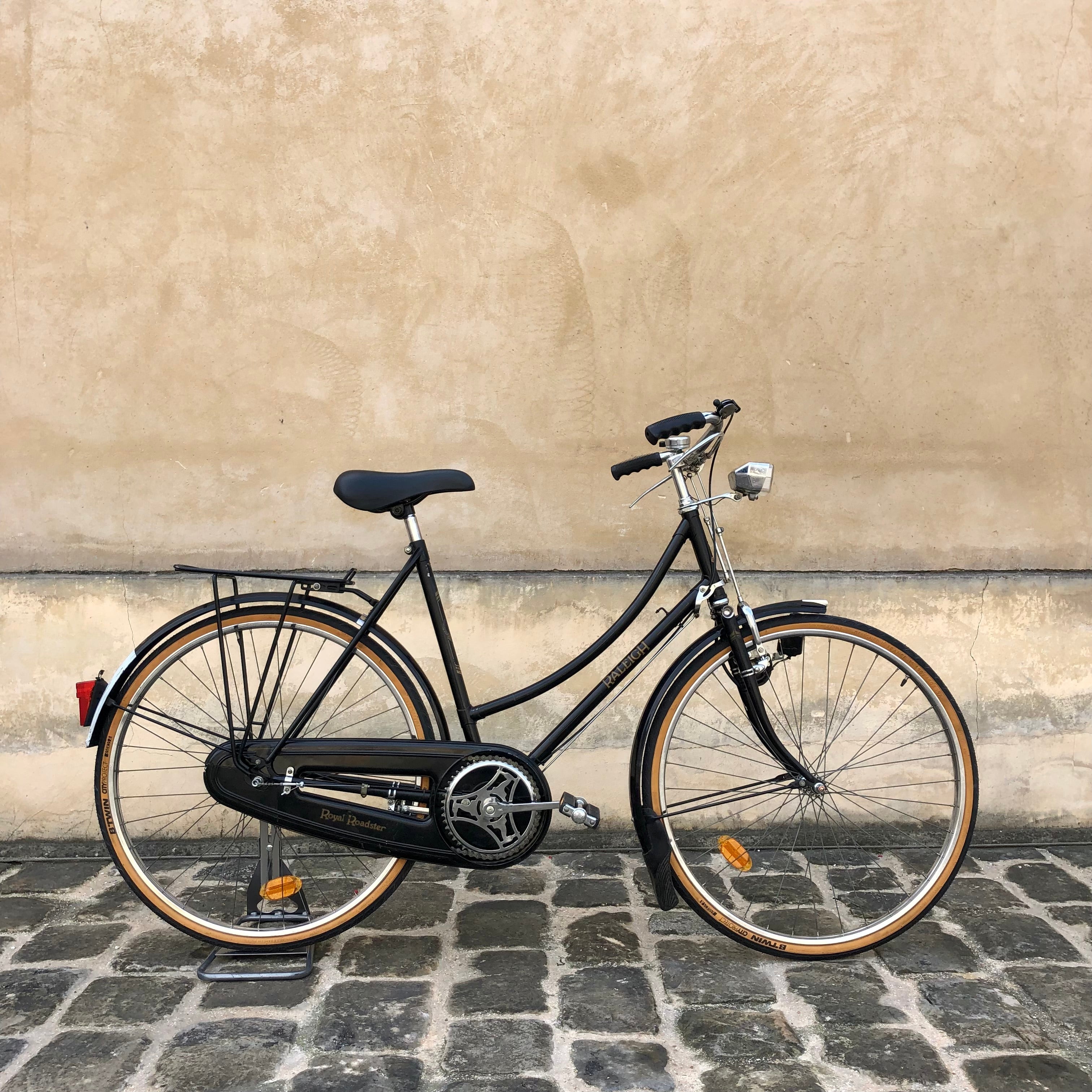 Remorque pour vélo Raleigh Roam, 2 places, enfants et tout-petits, rouge