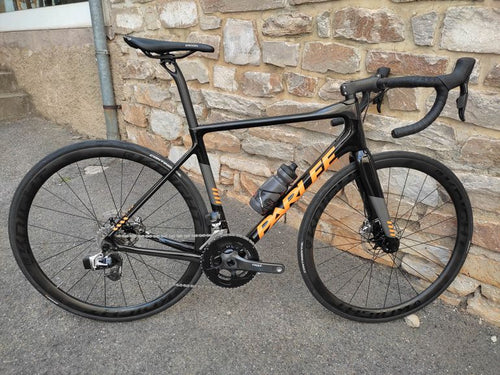 Parlee Altum Disc LE 2019 M