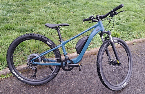 Giant Talon E+ Junior XS