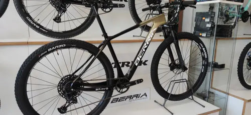 Berria BRAVO SPORT EXPERT 2021 M