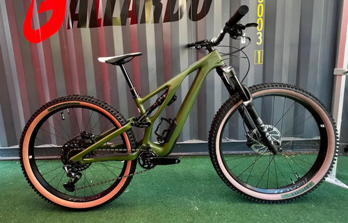 Specialized Stumpjumper Evo S