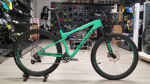 Specialized Epic WC L