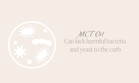 MCT oil can help with yeast overgrowth