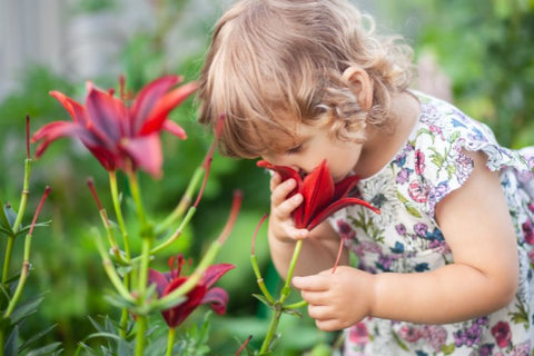 Toddler girl smelling a flower in a garden