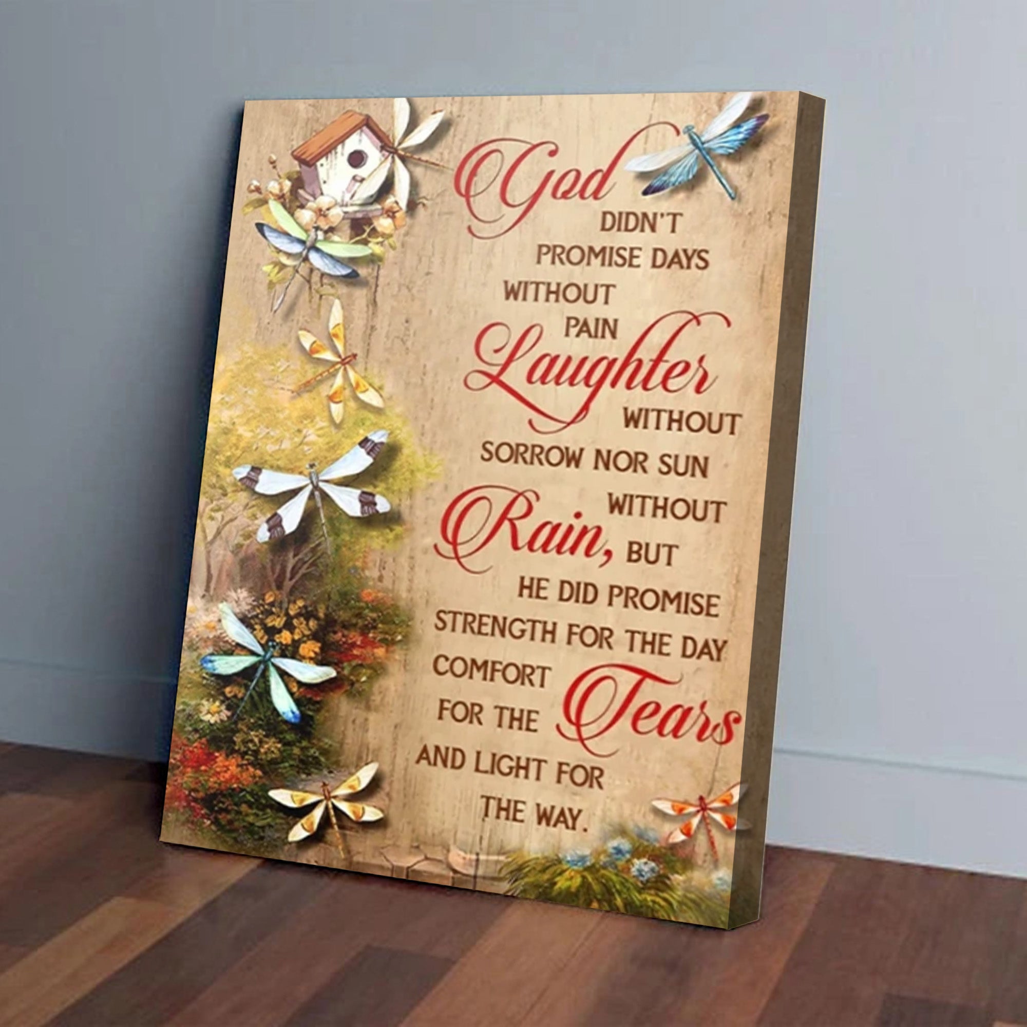 Dragonfly Canvas – God Didn’t Promise Days Without Pain
