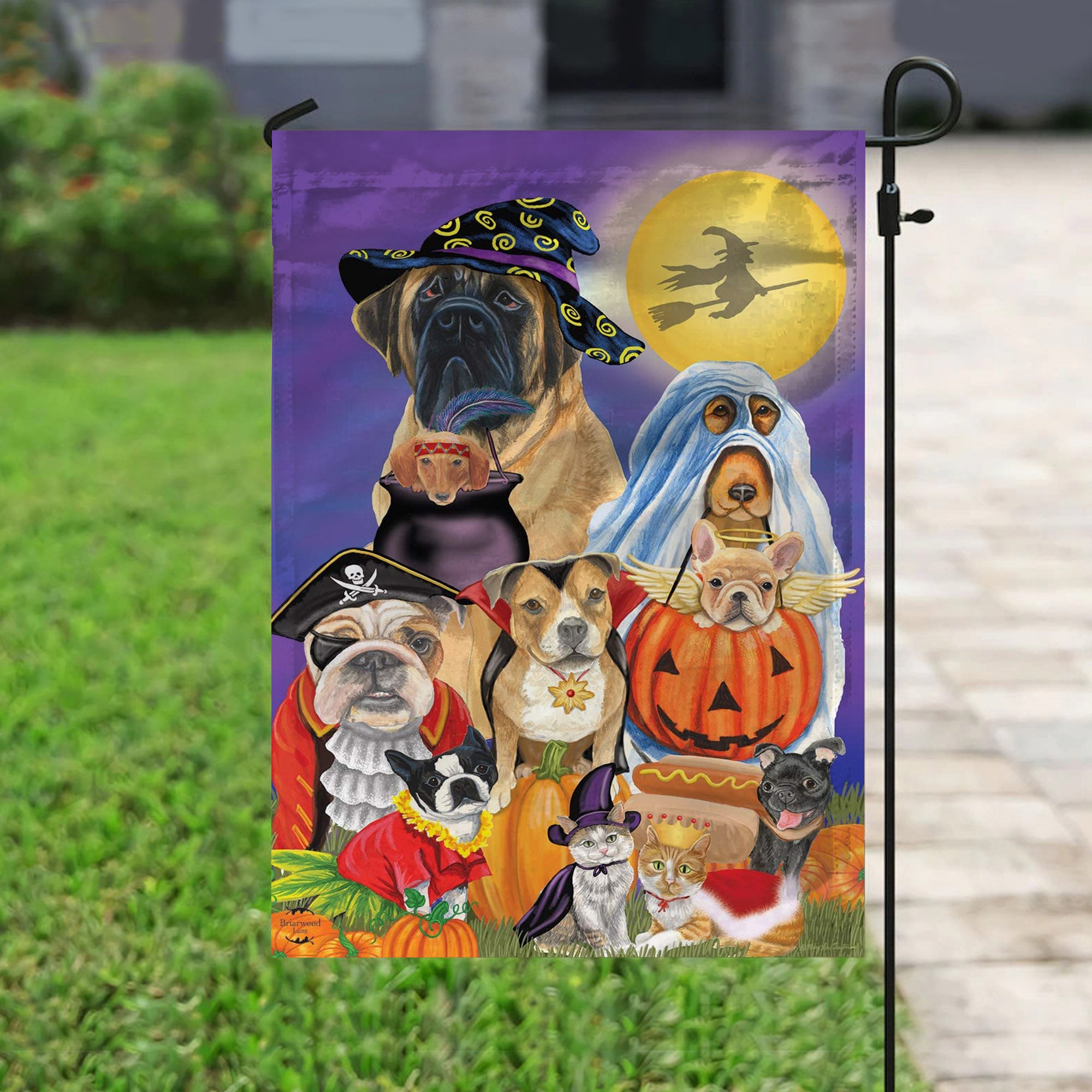Trick or Treat Dogs With Jack O’Lantern Halloween Flag Double Sided