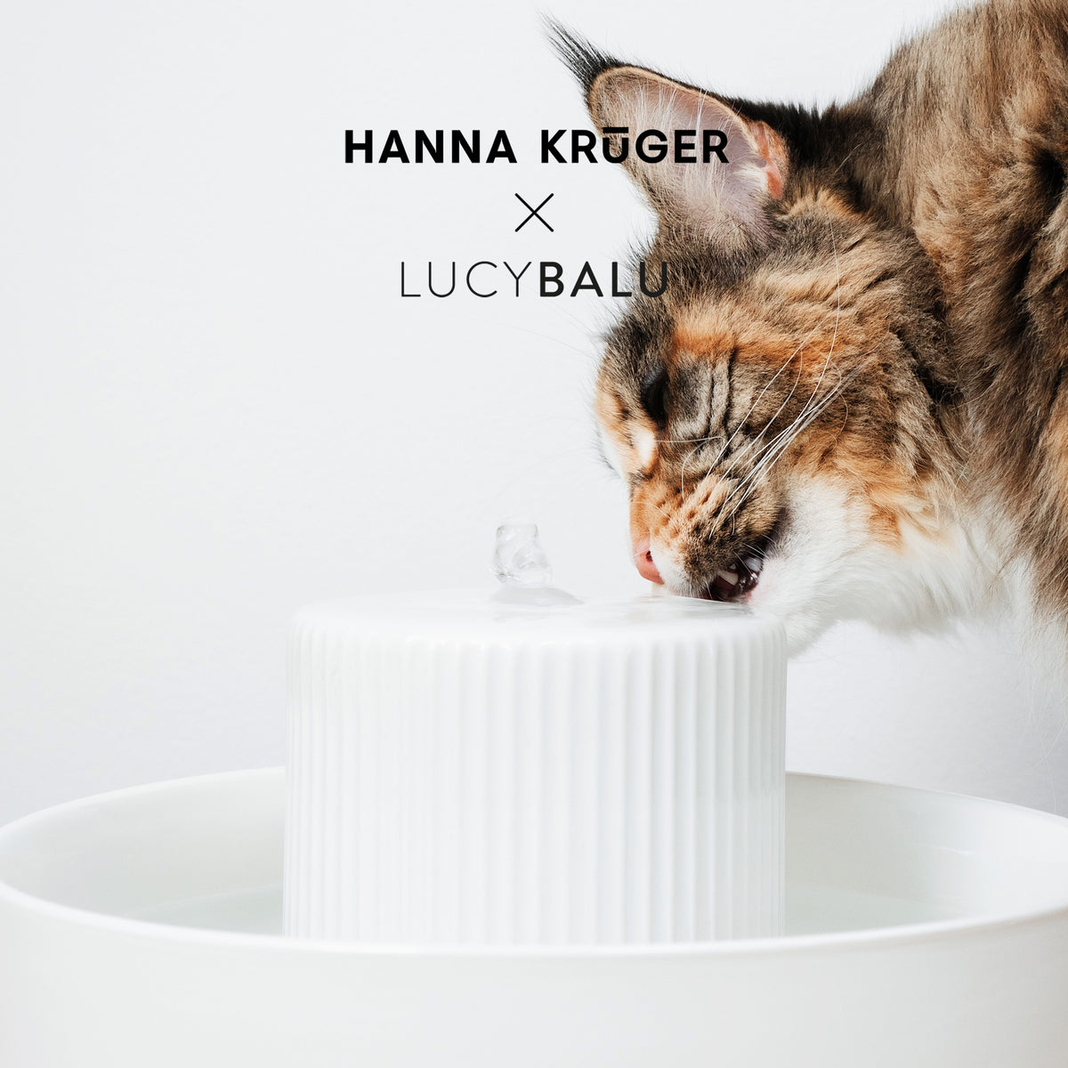 LucyBalu - Collier pour chat pour AirTag