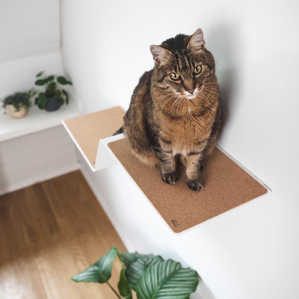 Kletterwand für Katzen: Katzenmöbel für die Wand - Wave Katzen Kletterhilfe Mit Auflage Lucybalu 960653 5000x