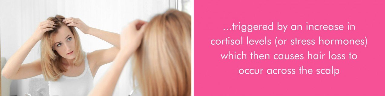 ...triggered by an increase in cortisol levels (or stree hormones) which then causes hair loss to occur across the scalp.