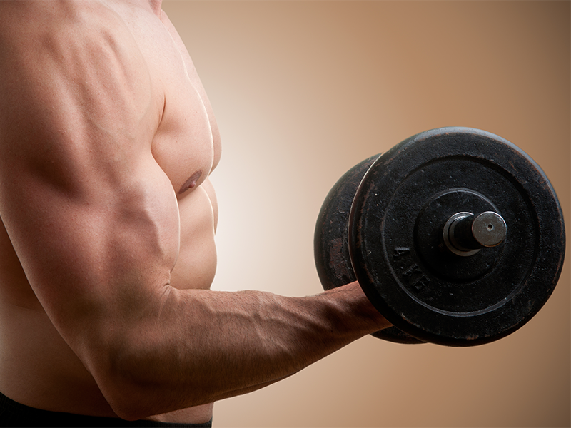 Build bigger biceps by know your food intake