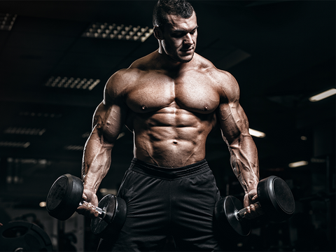 SARMS vs. steroids: how do they work?