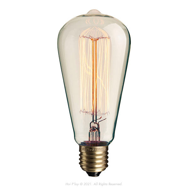 Squirrel Cage Vintage Filament Bulb