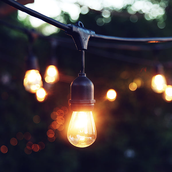 Petite Pear LED Filament Bulb