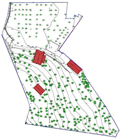 topographical map of property