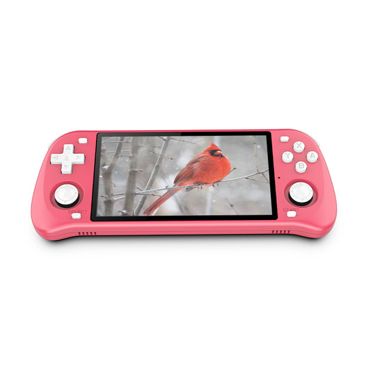 POWKIDDY RGB20S 3.5-Inch 4:3 IPS OGA Screen Open Source Handheld Game –  Powkiddy official store
