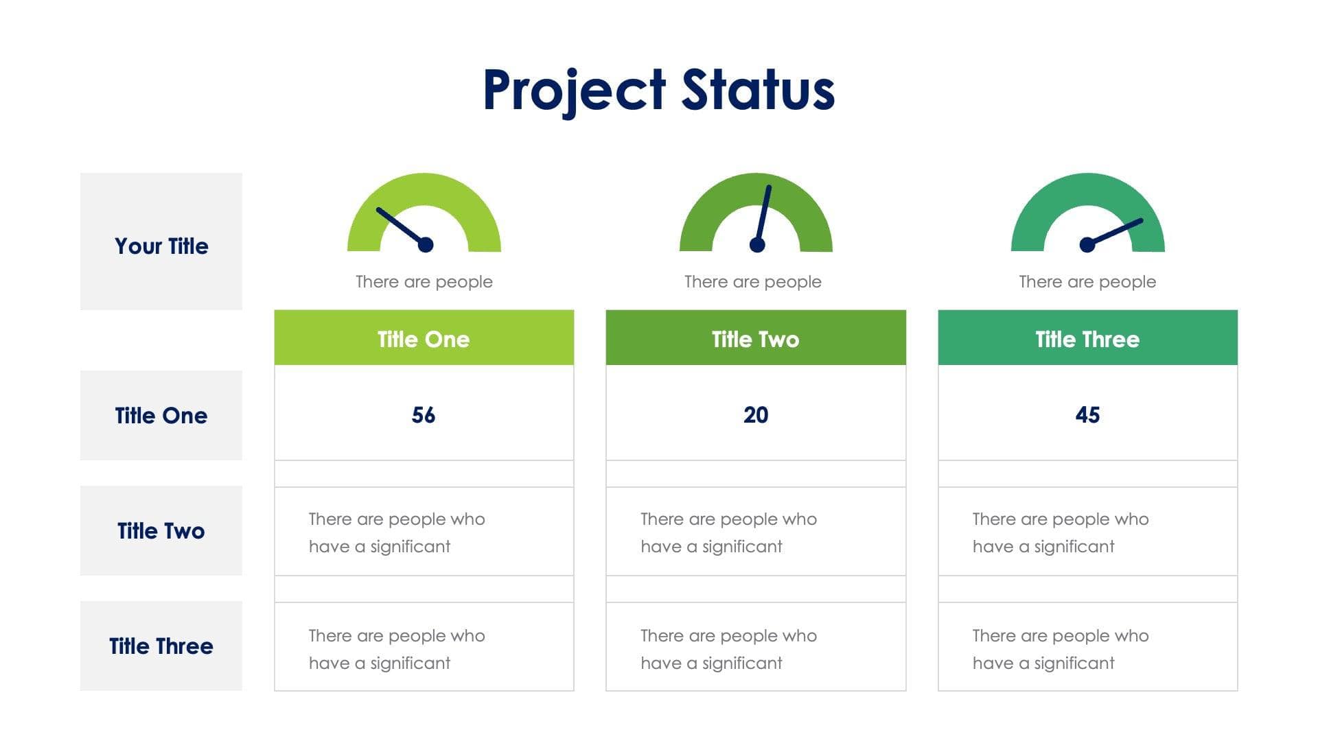 Project Status Slide Infographic Template S03242301