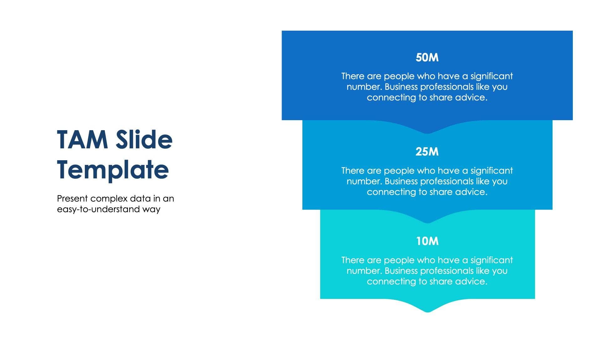 TAM Slide Infographic Template S09042301