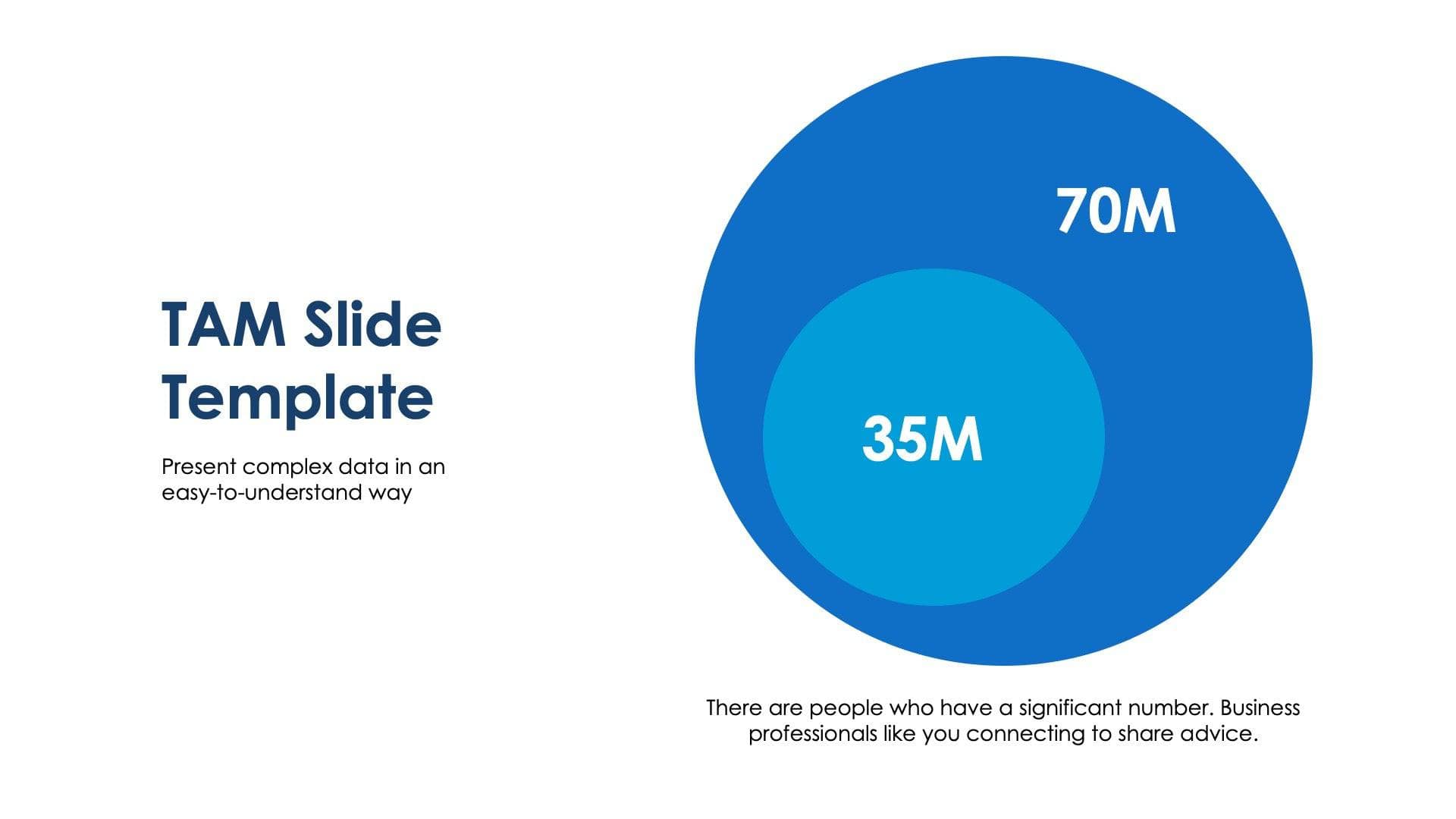 TAM Slide Infographic Template S09042305