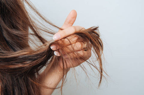 Signs of heat damaged hair