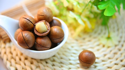 macadamia nut milk