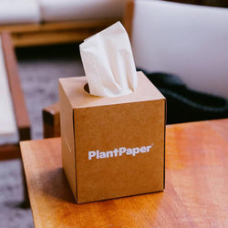 Facial Tissue Plant Paper box