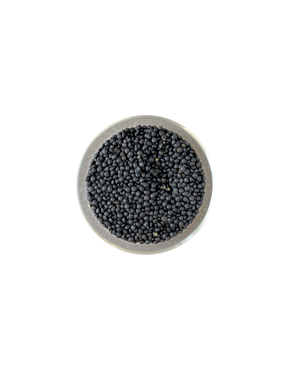 Lentils, Black re_