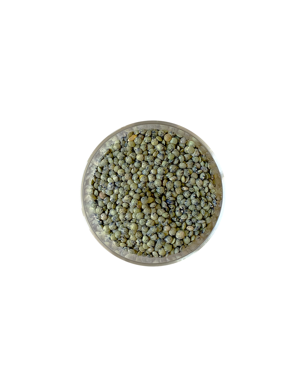 Lentils, French re_