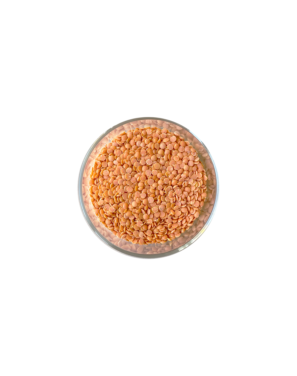 Lentils, Red re_