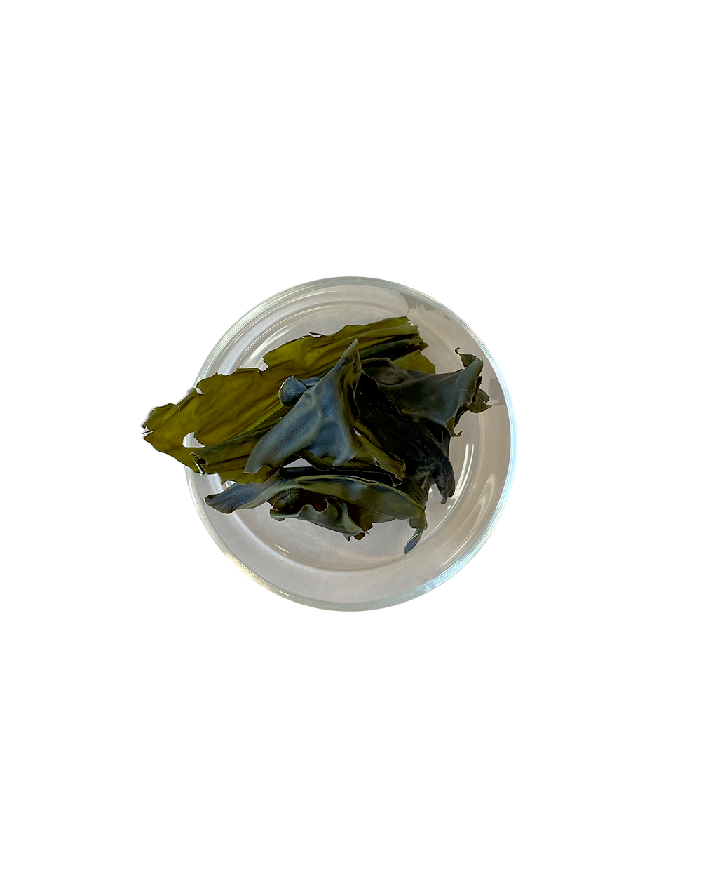 Wakame, Whole Leaf re_